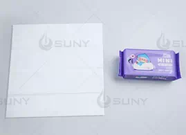 Mini Wet Wipes