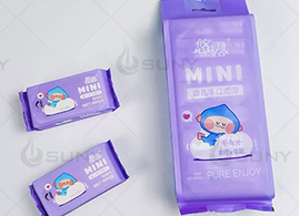 Mini Wet Wipes